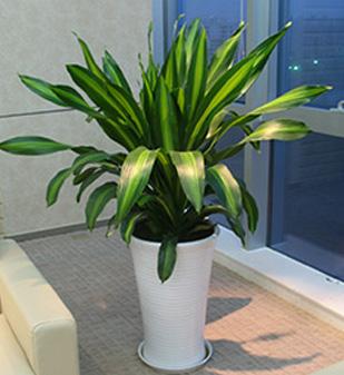1-1F411145535Y1
